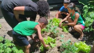 Projeto Vegetais que Curam e Alimentam