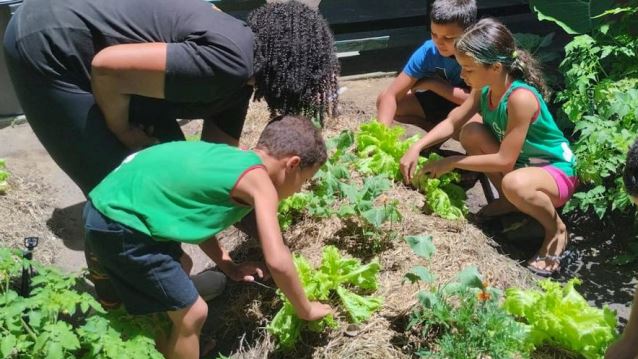 Projeto Vegetais que Curam e Alimentam